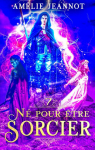 N pour tre sorcier, tome 7 : Le mystre du halo de feu par Jeannot