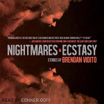 Nightmares in Ecstasy par Vidito