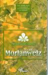 Promenades vertes dans l’entité de Morlanwelz par Marre-Muls