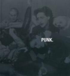 Punk : Hors limites par Stephen Colegrave