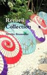 Recueil-Collection par Bruneteau