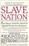 Slave Nation: How Slavery United the Colonies & Sparked the American Revolution par Blumrosen