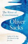 The River of Consciousness par Sacks