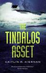 The Tindalos Asset par Kiernan