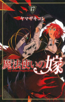 The ancient magus bride, tome 17