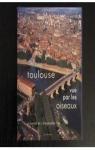 Toulouse vue par les oiseaux par Turcat