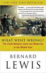 What Went Wrong? par Lewis