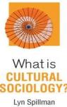 What is Cultural Sociology? par Spillman