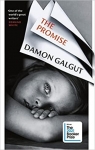 La promesse par Galgut