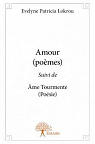 Amour (poemes) suivi de Ame Tourmente (poesie) par Lokrou