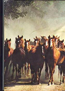 Nos chevaux par Artis Historia