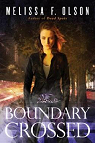 Boundary Magic, tome 1 : Boundary Crossed par Olson