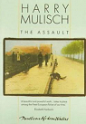 The assault par Mulisch