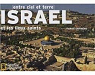 Israel et les lieux saints par Grinberg