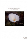 Paysages de Cannelle par Vanel-Coytte