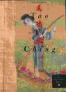 The illustrated Tao Te Ching par Palmer