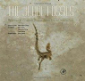 The Jehol Fossils: The Emergence of Feathered Dinosaurs, Beaked Birds and Flowering Plants par Chang