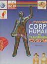 Corps humain en transparence par Olive