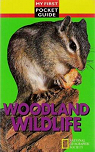 Woodland wildlife par Lindsey