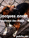 le silence des chiens par Ancet