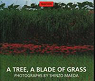 A Tree, A Blade of Grass par Maeda