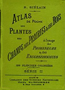 Atlas de poche des plantes des champs, des prairies et des bois par Siélain