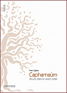 Capharnam par Ughes