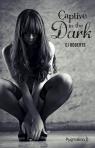 Captive in the dark par Roberts