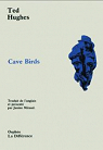 Cave Birds / An alchemical cave drama par Hughes