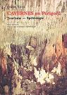 Cavernes en Périgord par Vidal