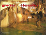 Grottes ternelles par Amboise