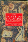 Les cicatrices de l'volution par Morgan