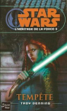 Star Wars, tome 95 - L'hritage de la Force, tome 3 : Tempte par Denning