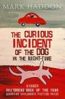 The Curious Incident of the Dog in the Night-Time by Haddon, Mark published by Vintage Books USA (2004) Paperback par Haddon