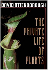 The private life of plants : a natural history of plant behaviour par Attenborough