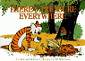 Calvin and Hobbes, tome 10 : There's treasure everywhere par Watterson