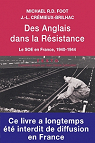 Des Anglais dans la Rsistance : Le service secret britannique d'action (SOE) en France, 1940-1944 par Foot