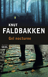 Gel nocturne par Faldbakken