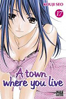 A town where you live, tome 17