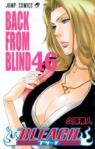 Bleach, tome 46 : Back from Blind par Kubo