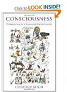 Consciousness: Confessions of A Romantic Reductionist par Koch