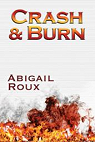Crash & Burn par Roux