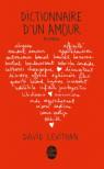 Dictionnaire d'un amour par Levithan