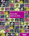 Fleurs des Alpes par Stefaniak