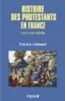 Histoire des protestants en France de Calvin à aujourd'hui par Cabanel