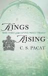 Kings Rising: Book Three of the Captive Prince Trilogy par Pacat