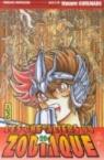 Les chevaliers du Zodiaque - St Seiya, tome 20 par Kurumada