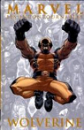 Marvel (Les incontournables), Tome 3 : Wolverine  par Ellis