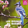 Les oiseaux du Qubec par Auzou