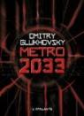 Mtro 2033 par Glukhovsky